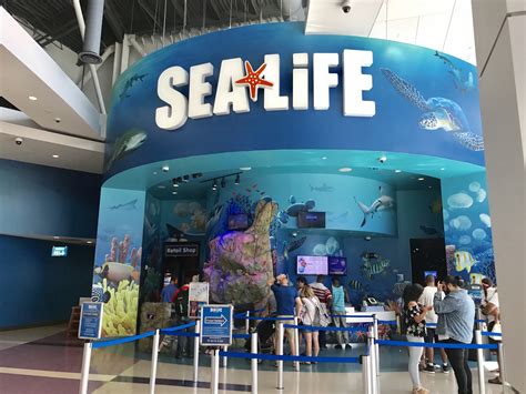 Sea Life Aquarium Orlando Clumps Of Mascara