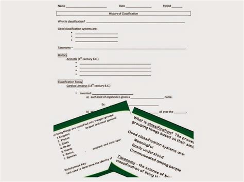 Species are also organized into higher levels of classification. Binomial Nomenclature Worksheet - worksheet