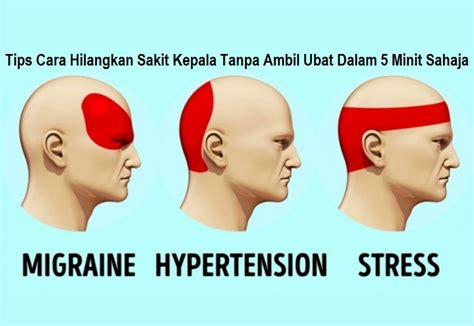 Seperti yang telah disebutkan di atas, bahwa salah satu penyebab sakit kepala adalah karena dehidrasi/kekurangan cairan pada tubuh. Tips Cara Hilangkan Sakit Kepala Tanpa Ambil Ubat Dalam 5 ...