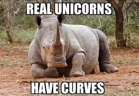 Real Unicorns Have Curves The Poke