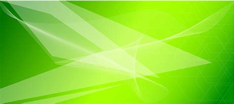 Green Background Wallpaper Vectors Illustrations For Free Download ...