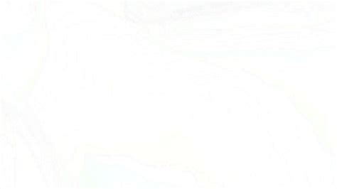 Plain 2x2 Plain White Background Free Download For Various Uses