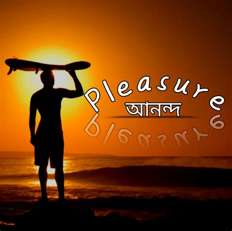 Pleasure-আনন্দ