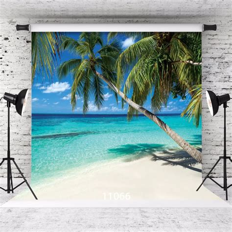 Sjoloon Summer Beach Photography Background Sea Trees Beach And Blue