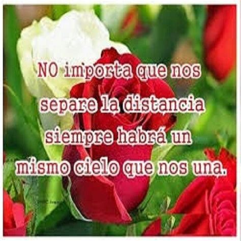 Pin De Nelida Apablaza En Frases Rosas Con Dedicatoria Frases De Rosas Y Poemas De Rosas