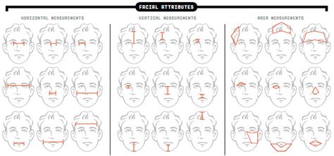What Caricatures Can Teach Us About Facial Recognition Wired