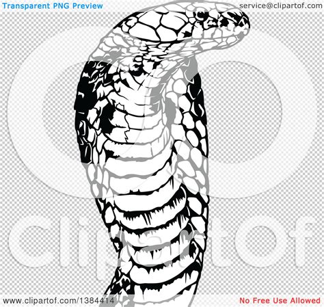 Clipart Of A Black And White Cobra Snake Royalty Free Vector