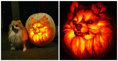 Man Spends Hours Carving A Stunning Jack O Lantern