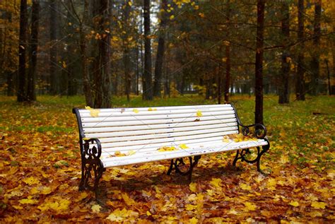 Bench In The Autumn Park High Quality Nature Stock Photos Creative