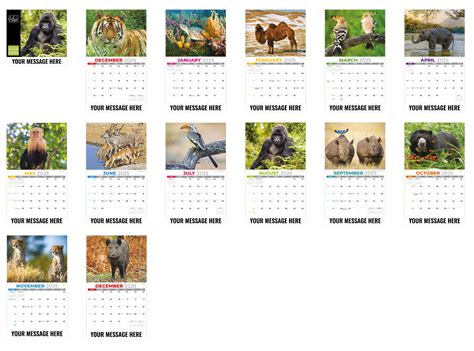 International Wildlife Calendar