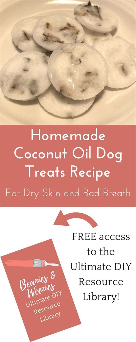 These Homemade Coconut Oil Dog Treats Are The Best And Easiest Cure