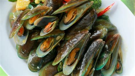 Cara membersihkan kerang ijo yang benar. Resep Masakan Seafood Kerang Hijau ~ Resep Manis Masakan ...