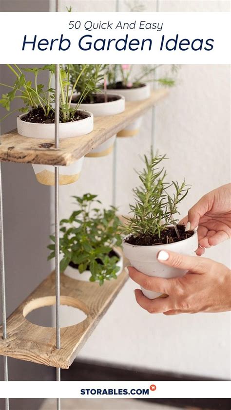 50 Quick And Easy Herb Garden Ideas An Immersive Guide By Storables