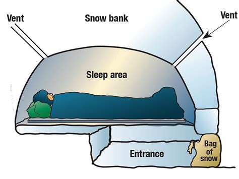 How To Build A Snow Cave Scout Life Magazine