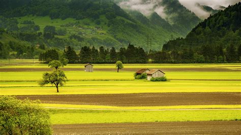 Green Meadow Wallpapers 4k Hd Green Meadow Backgrounds On Wallpaperbat