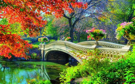 Central Park Bridge In Springtime Hd Wallpaper Background Image