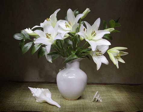 Photos White Lilies Flowers Vase