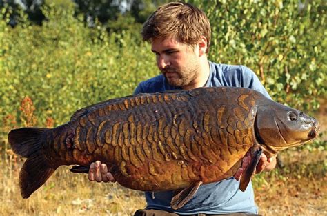 The 50 Greatest Carp Of All Time Part 5