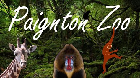 Paignton Zoo Youtube