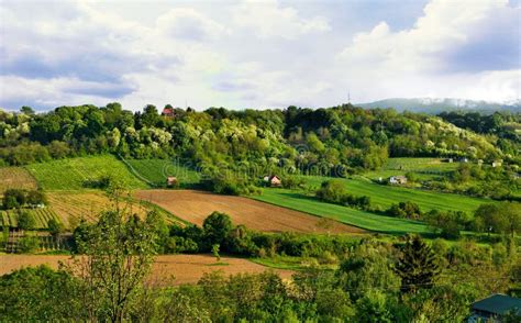 Spring Landscape Of The National Park Fruska Gora Serbia Stock Photo