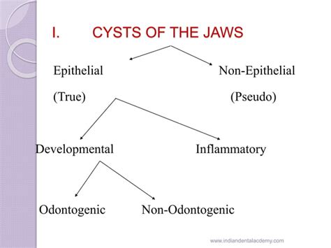 Gingival Cyst Of Newborn Orthodontic Courses By Indian Dental Academy