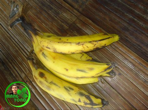 Maybe you would like to learn more about one of these? Manfaat Buah Pisang Untuk Kesehatan dan Kecantikan Kulit