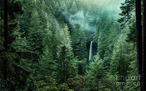 North Falls In Silver Falls State Park By Brian Bonham