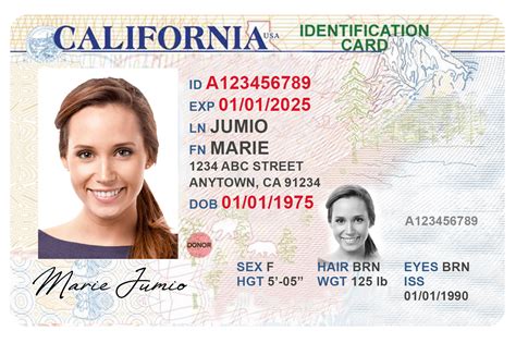 Ai Powered Id And Identity Verification For The United States Free Download Nude Photo Gallery