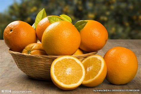 橙子摄影图水果生物世界摄影图库昵图网