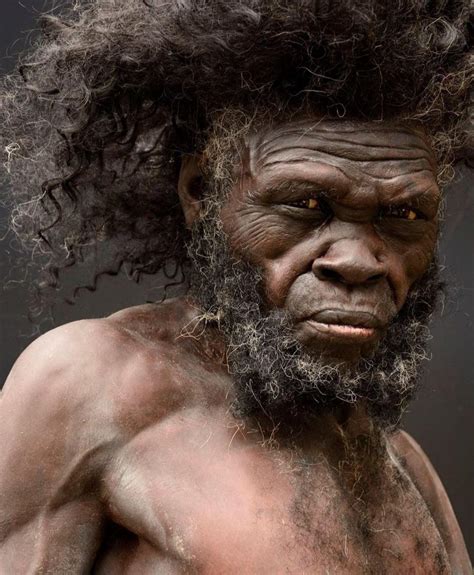 Reconstruction Of One Of The First Modern Humans From Around 300000
