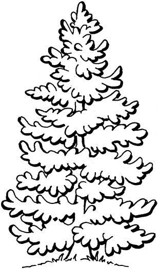 You might also be interested in coloring pages from pine trees category and trees of north america, forest tags. Evergreen X-Mass tree/coloring page | Christmas tree ...
