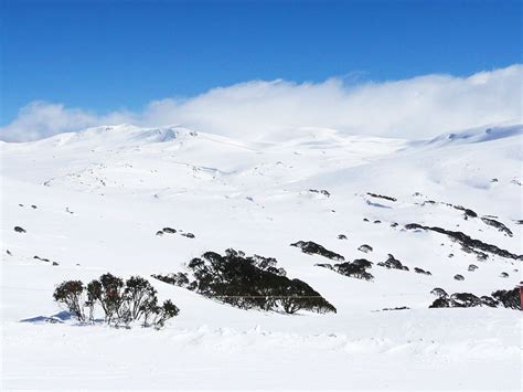 Winter Escape To Australias Snowy Mountains Travel Insider