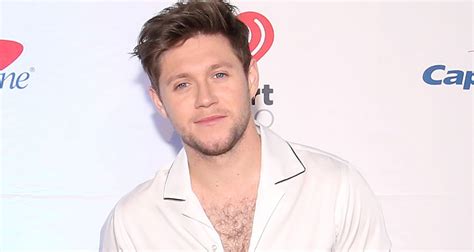 Niall Horan Returns With Second New Single ‘meltdown Siachen Studios