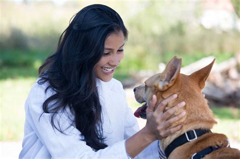 A Z Of Animal Care Careers My Learning Online