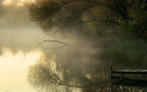 Wallpaper Sunlight Trees Landscape Forest Lake Water Nature