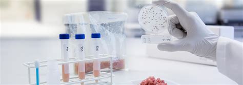 Microbiological Quality Control Testings Idma Laboratories Ltd
