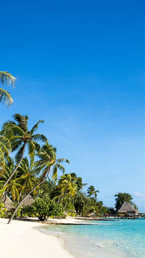 Wallpaper Tropical Nature Scenery Beach Sea Palm Trees Huts Resort