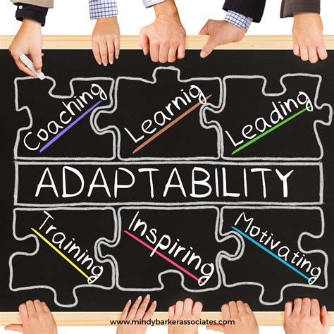 Adaptability The Key To Leadership And Business Success Mindy
