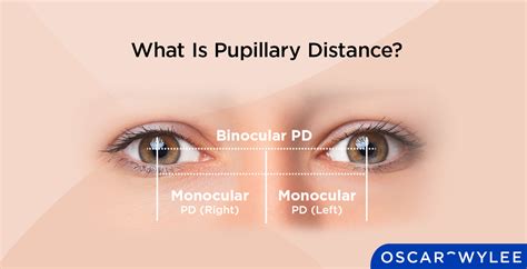 What Is Pupillary Distance Pd Oscar Wylee