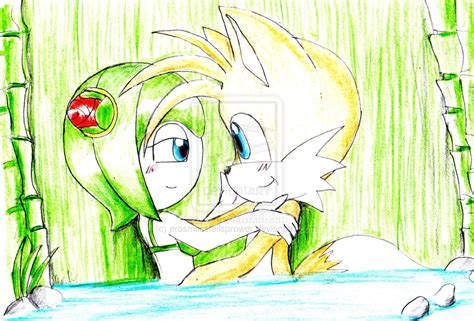 Cosmo Kiss Tails Cosmo The Seedrian Sonic Wiki Fandom 1024 X 1000