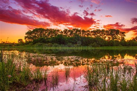 Beautiful Summer Sunset Stock Photo Image Of Reflection 212173472