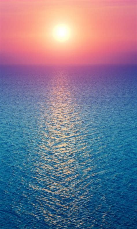 Sunrise Wallpaper 4k Seascape Horizon Ocean Pink Sky Blue Nature