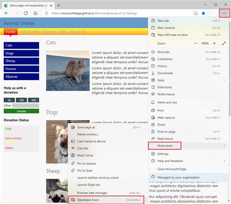 Whats New In Microsoft Edge Dev Build Windows Mode Sexiezpix Web Porn