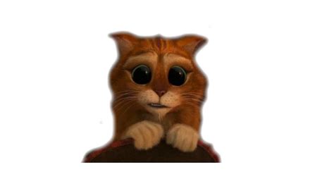 Puss In Boots Shrek Film Series Animated Film Dreamworks Animation Cat