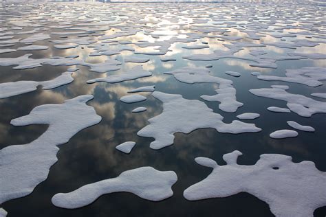 The Global Impacts Of Rapidly Disappearing Arctic Sea Ice Yale E360