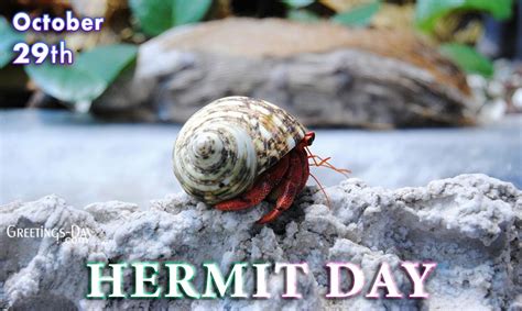 Hermit Day Celebratedobserved On October 29 2022 ⋆ Greetings Cards