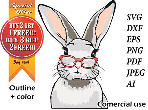 Rabbit face svg Bunny face svg Bunny with glasses svg rabbit with