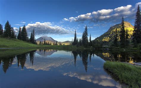 Photo Mount Rainier Park Usa Tipsoo Lake Nature Spruce 3840x2400