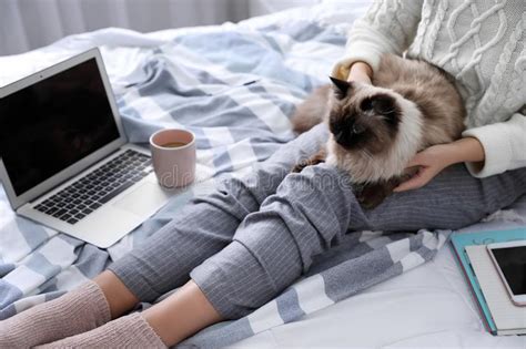 Woman With Her Cute Balinese Cat On Bed At Home Fluffy Pet Stock Photo