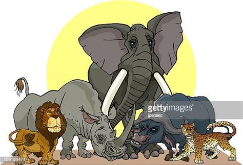 The Big Five Animals Stock Grafiken Clipart Cartoons Und Symbole